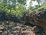 IMG_20260606_165801.jpg