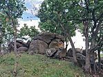 IMG_20260606_180311.jpg