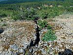 IMG_20260613_152945.jpg