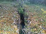 IMG_20260613_153106.jpg