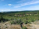 IMG_20260613_152952.jpg