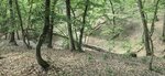 log-image-1782044542739-0