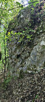 IMG_20260626_111242-1