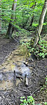 IMG_20260626_064723-1