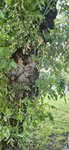 log-image-1781890852209-0