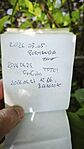 IMG_20260523_121714