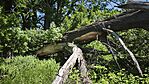 IMG_20260523_120250