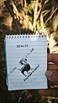 IMG_20260523_150146