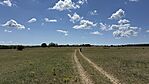 IMG_1988