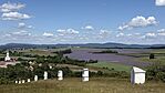 IMG_2004