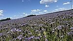 IMG_2005