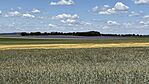 IMG_2007