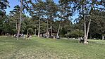 IMG_2215