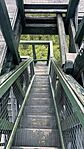 IMG_2222