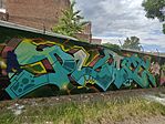 GCGRAF8pg