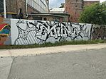 GCGRAF9pg