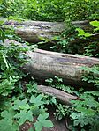 IMG_20260620_100046