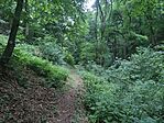 IMG_20260620_161616