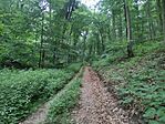 IMG_20260620_163615