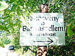 Bányaszellem