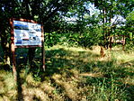 Ismertető-táblák