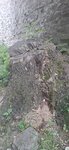 log-image-1782048704140-0
