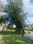 IMG_1671