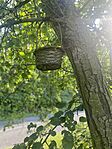 IMG_1794