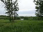 DSC08539