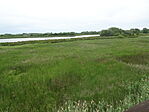 DSC08555