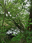 DSC08565