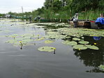 DSC08547