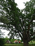 DSC08588