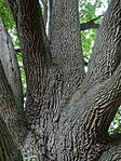 DSC08590