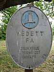 DSC08591