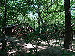 DSC08677