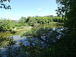 DSC08684