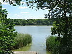 DSC08705