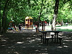 DSC08709