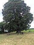 PXL_20260615_091920459