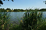 IMG_7031