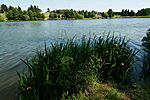 IMG_7033