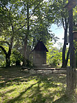IMG_9860