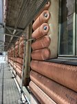 log-image-1780403225525-1