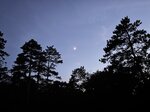 log-image-1782108446877-0