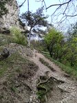 log-image-1780873489955-1