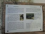 20260620_080031