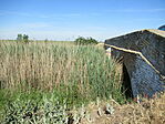 IMG_3692