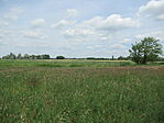 IMG_3798