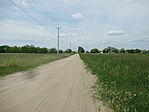 IMG_3799